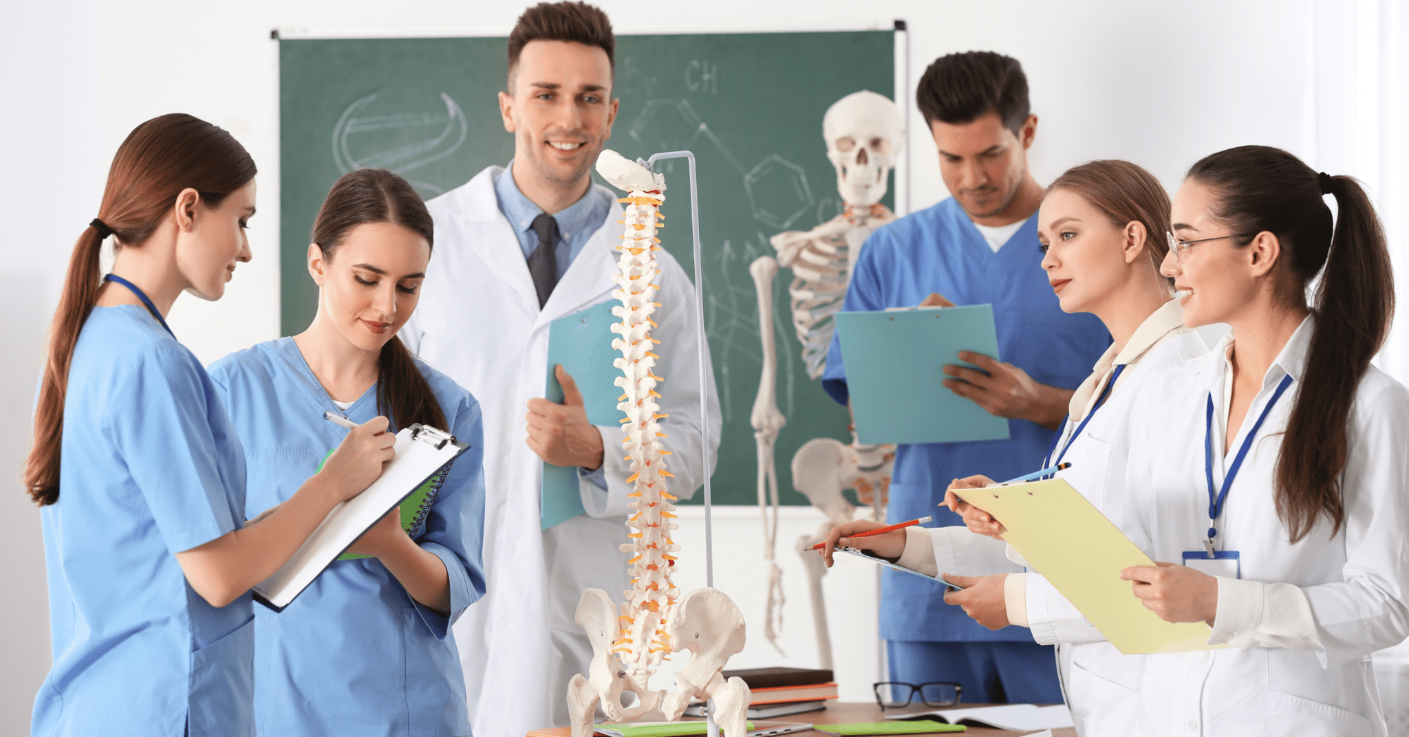 Spinal Adjustments Explained A Detailed Guide to What Happens During a